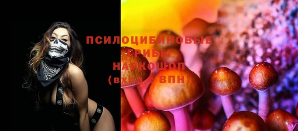 МДПВ Нефтегорск