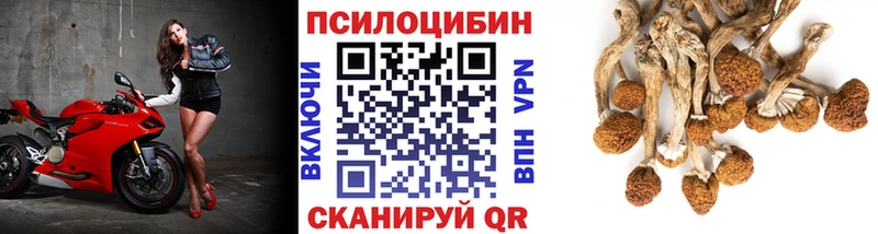 Псилоцибиновые грибы Cubensis  дарнет шоп  ссылка на мегу ONION  Тихорецк 